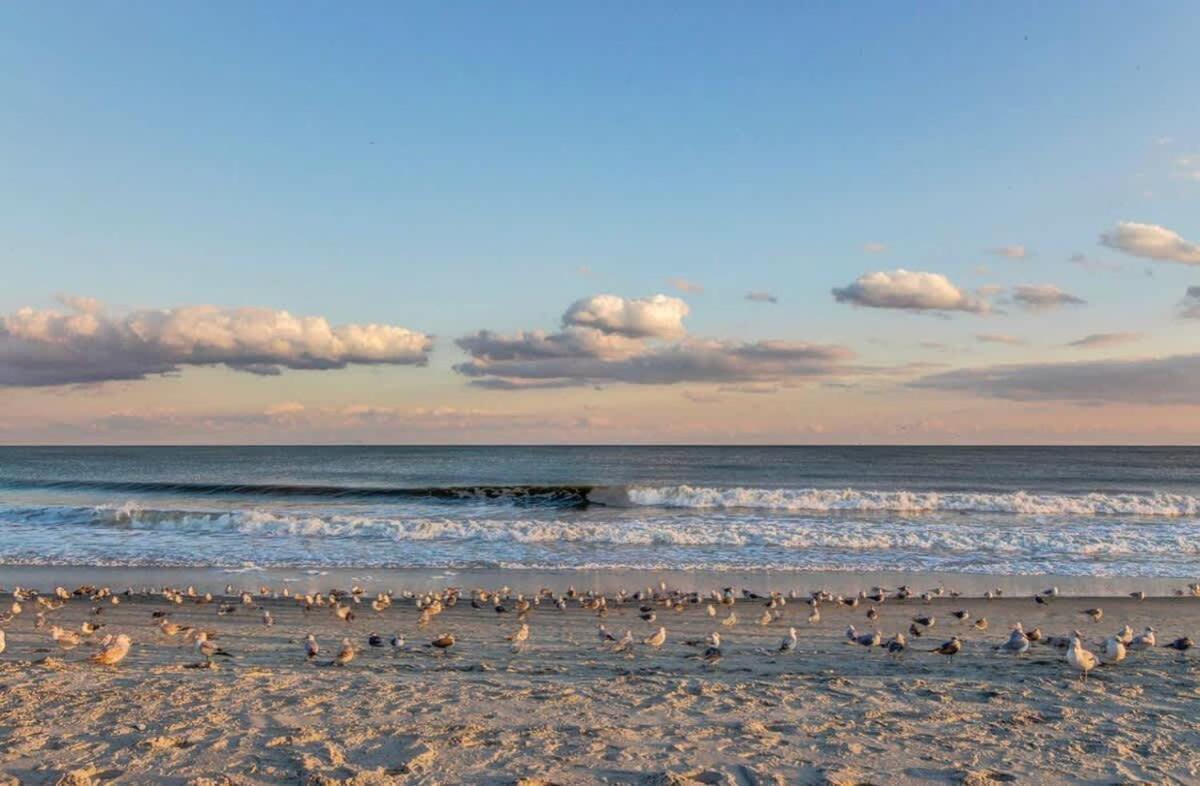 *Oceanfront Retreat*King Bed *Great Pools, Hot Tubs+++*O41 Villa Myrtle Beach Exterior photo